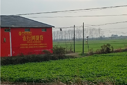 双柏如何防止墙体广告褪色呢？