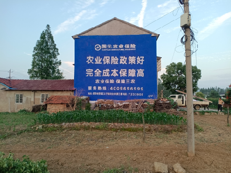 双柏墙体广告的优劣势你知道吗？