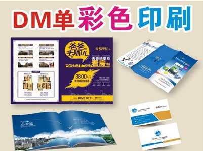 双柏单页印刷，色彩搭配简单。